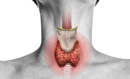What happens when the thyroid works too much or too little?