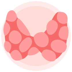 guatr-icon-1